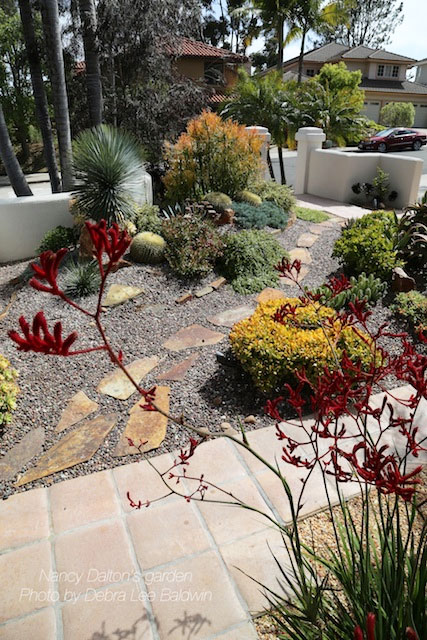 succulent garden winning award debra baldwin lee front yard landscape lawn