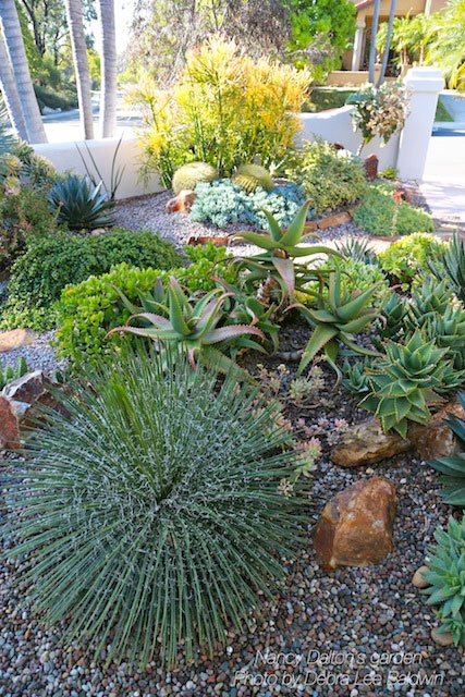 succulent garden winning award baldwin debra lee landscape yard debraleebaldwin housing front