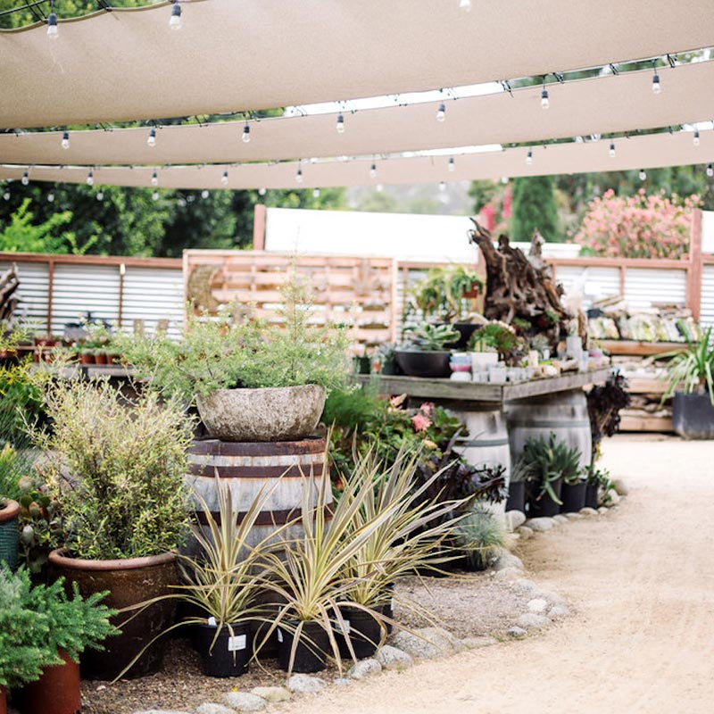 10 of the Best San Diego Plant Shops, Nurseries, and Gardens