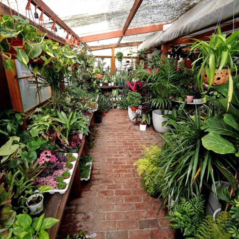 Handpicked by Locals: 5 places to eat, drink and explore in and around Encinitas